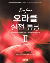 Perfect 오라클 실전 튜닝 2 데이터베이스 아키텍처 및 SQL 튜닝을 위한 가이드북