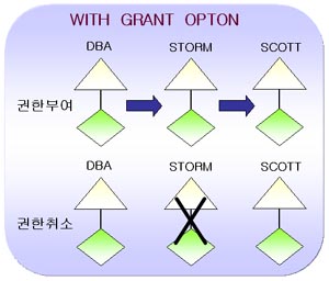 시스템 권한의 회수