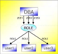 ROLE을 사용하여 권한부여