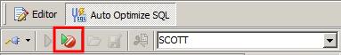 Toad Auto Optimize SQL